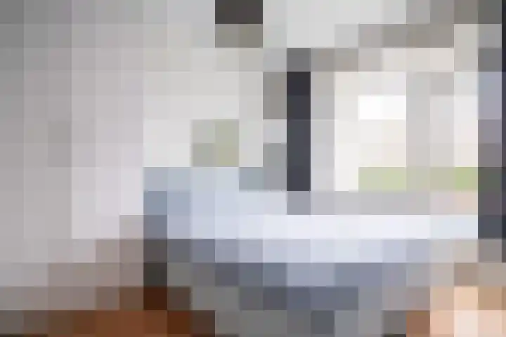Jan van Goyenplantsoen 22 Voorschoten thumbnail 14