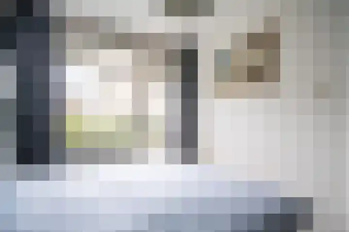 Jan van Goyenplantsoen 22 Voorschoten thumbnail 15