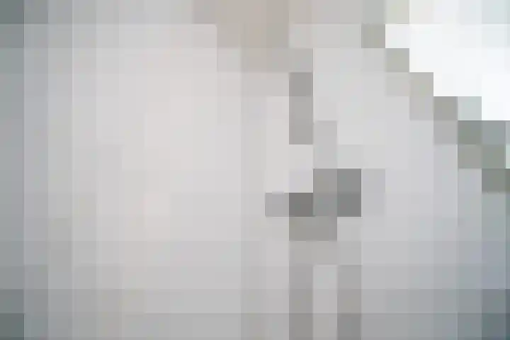 Jan van Goyenplantsoen 22 Voorschoten thumbnail 18