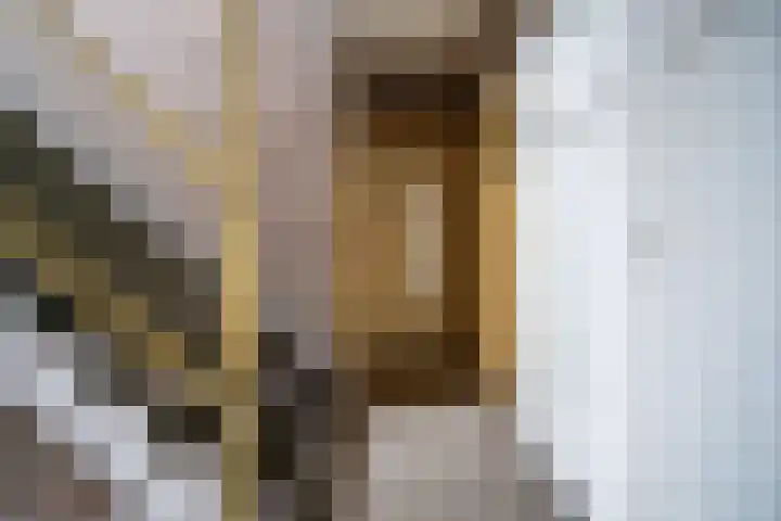 Jan van Goyenplantsoen 22 Voorschoten thumbnail 27