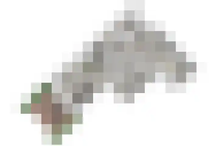 Jan van Goyenplantsoen 22 Voorschoten thumbnail 32