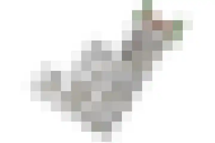 Jan van Goyenplantsoen 22 Voorschoten thumbnail 33