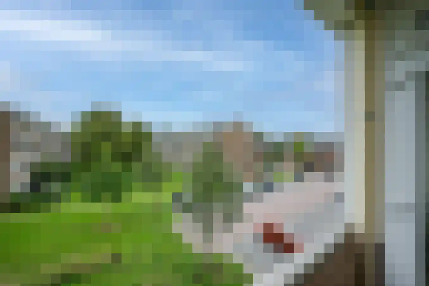 Jan van Goyenplantsoen 32 Voorschoten thumbnail 17