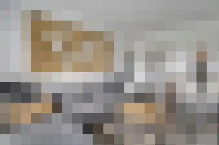 Jan van Goyenplantsoen 50 Voorschoten thumbnail 10