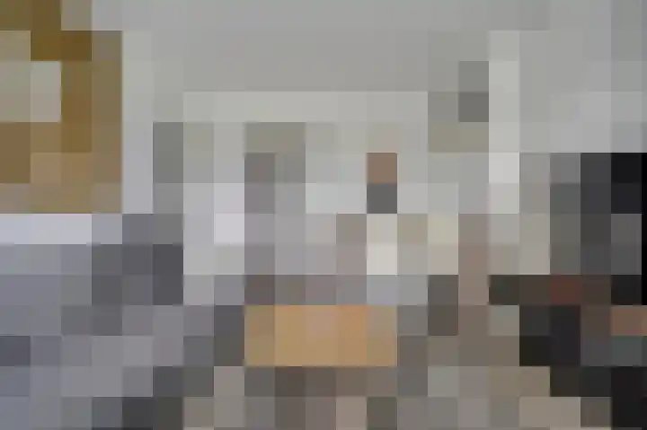 Jan van Goyenplantsoen 50 Voorschoten thumbnail 11