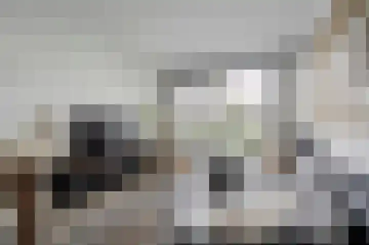 Jan van Goyenplantsoen 50 Voorschoten thumbnail 12