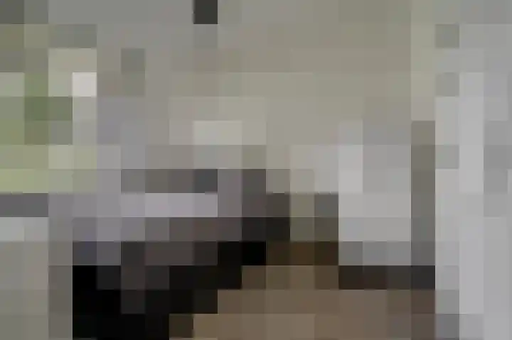 Jan van Goyenplantsoen 50 Voorschoten thumbnail 22