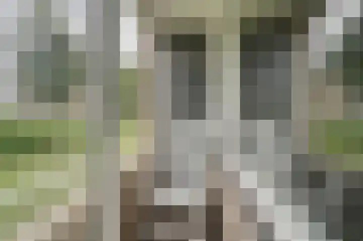 Jan van Goyenplantsoen 50 Voorschoten thumbnail 23