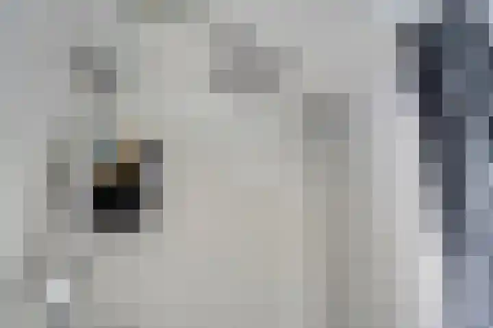 Jan van Goyenplantsoen 50 Voorschoten thumbnail 25