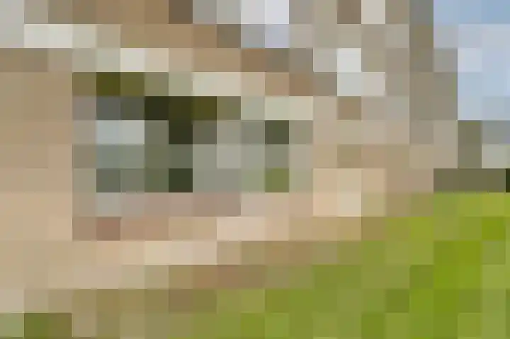 Jan van Goyenplantsoen 50 Voorschoten thumbnail 29