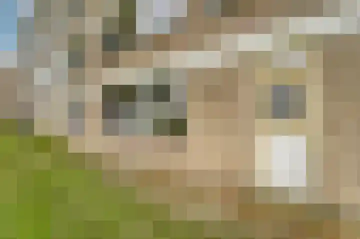Jan van Goyenplantsoen 50 Voorschoten thumbnail 30