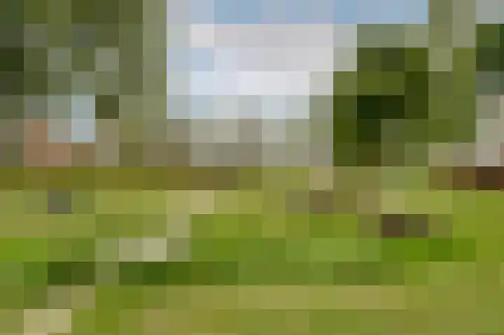 Jan van Goyenplantsoen 50 Voorschoten thumbnail 32