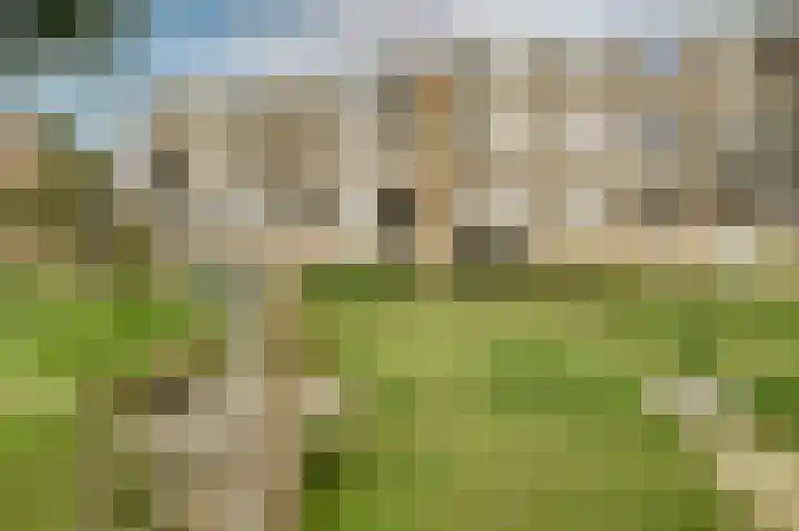 Jan van Goyenplantsoen 50 Voorschoten thumbnail 33