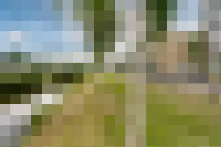 Jan van Goyenplantsoen 50 Voorschoten thumbnail 34