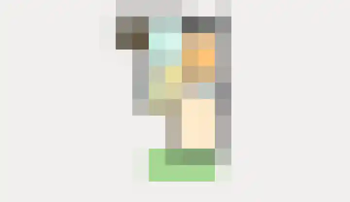 Jan van Goyenplantsoen 50 Voorschoten thumbnail 35