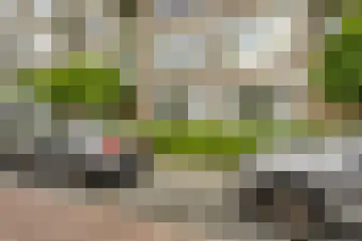 Jan van Goyenplantsoen 50 Voorschoten thumbnail 4