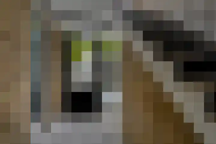 Jan van Goyenplantsoen 50 Voorschoten thumbnail 6