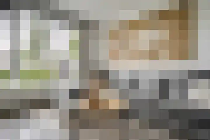 Jan van Goyenplantsoen 50 Voorschoten thumbnail 8