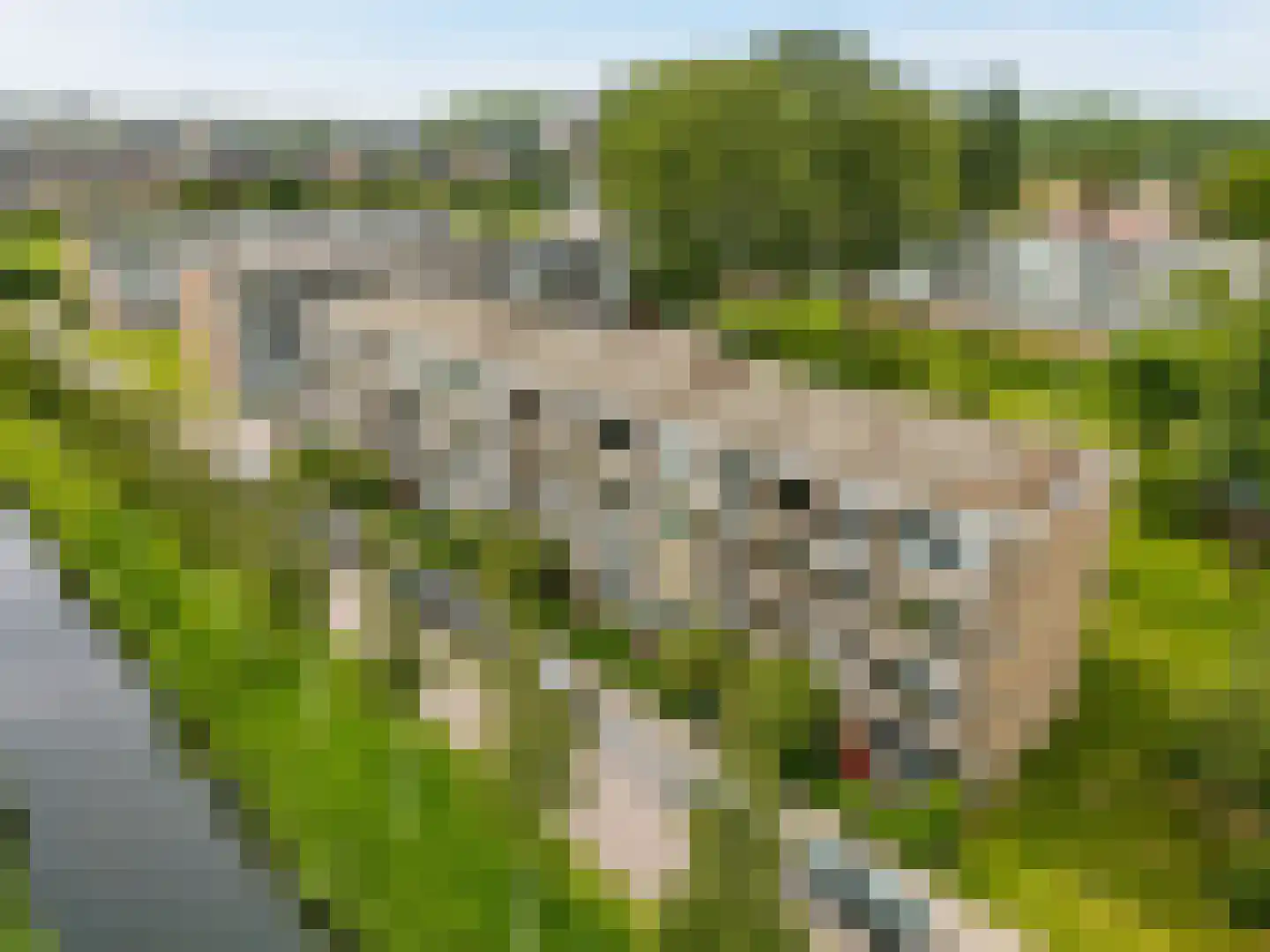 Jan van Goyenplantsoen 53 in Voorschoten