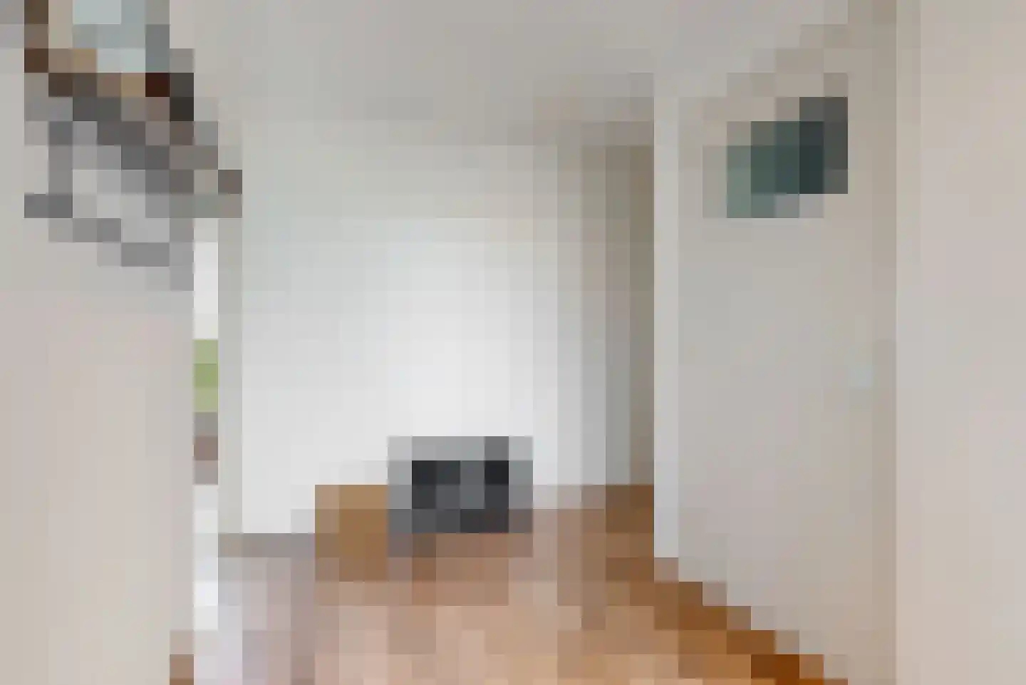 Jan van Goyenplantsoen 53 Voorschoten thumbnail 11