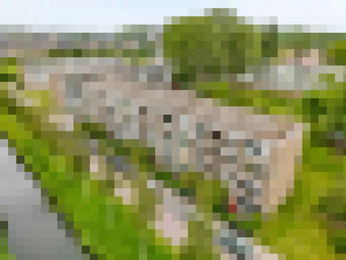 Jan van Goyenplantsoen 53 Voorschoten thumbnail 32