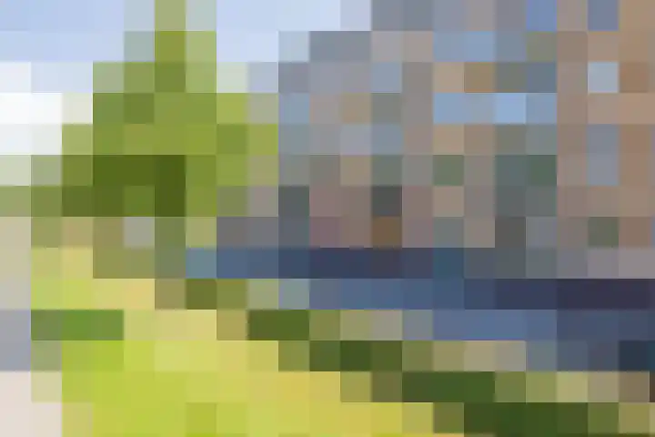 Jan van Goyenplein 38 Rijnsburg thumbnail 25
