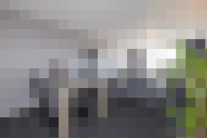 Jan van Goyenplein 57 Rijnsburg thumbnail 7