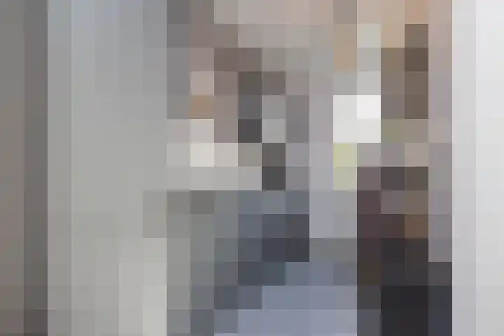 Jan van Goyenplein 65 Rijnsburg thumbnail 13