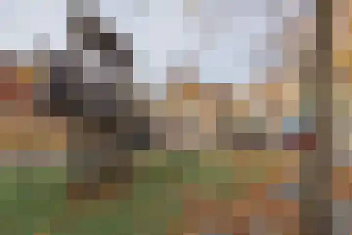 Jan van Goyenplein 65 Rijnsburg thumbnail 22