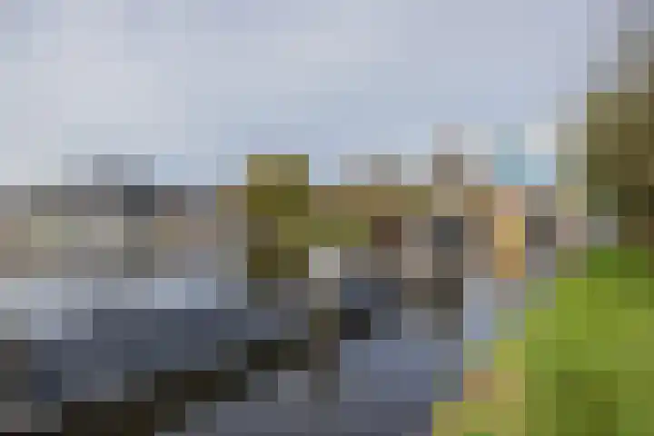 Jan van Goyenplein 65 Rijnsburg thumbnail 23