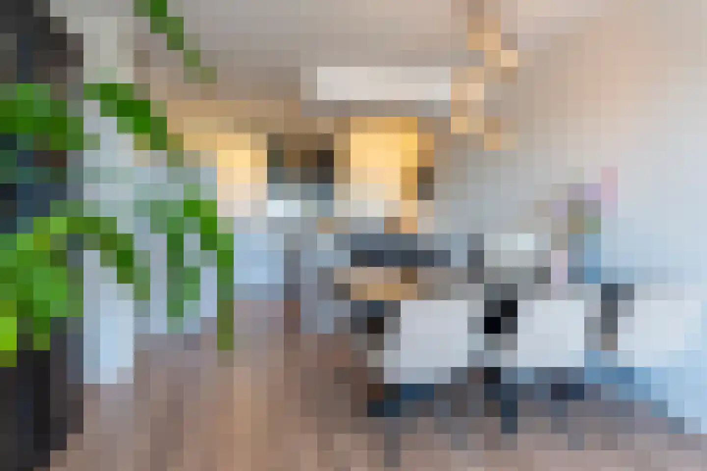 Jan van Goyenplein 70 Rijnsburg thumbnail 6