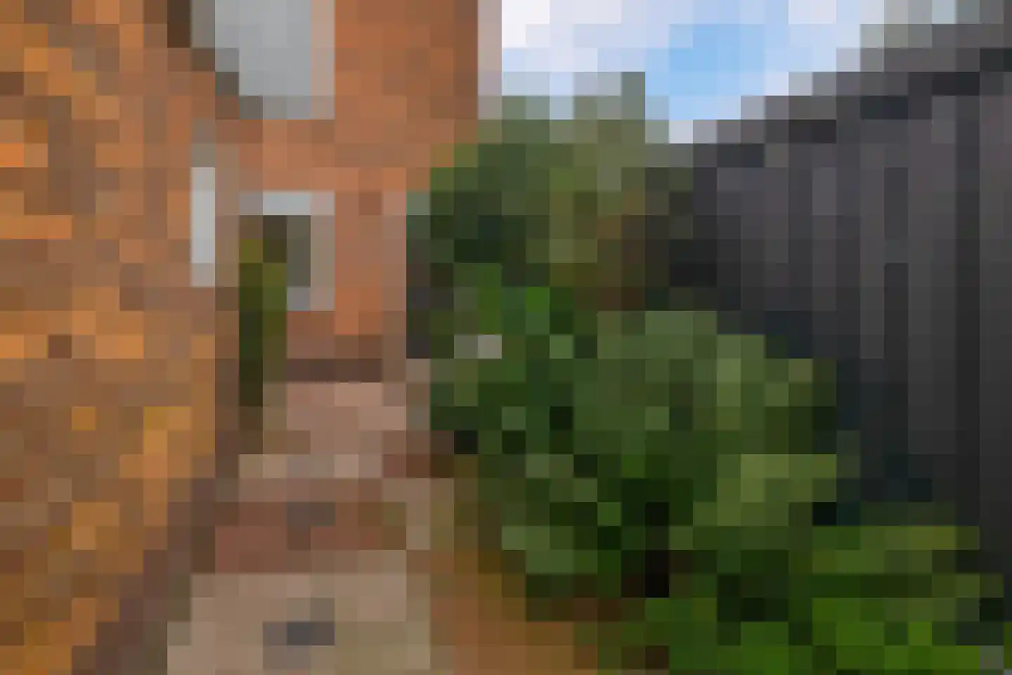 Jan van Goyenstraat 1 Krimpen aan den IJssel thumbnail 14
