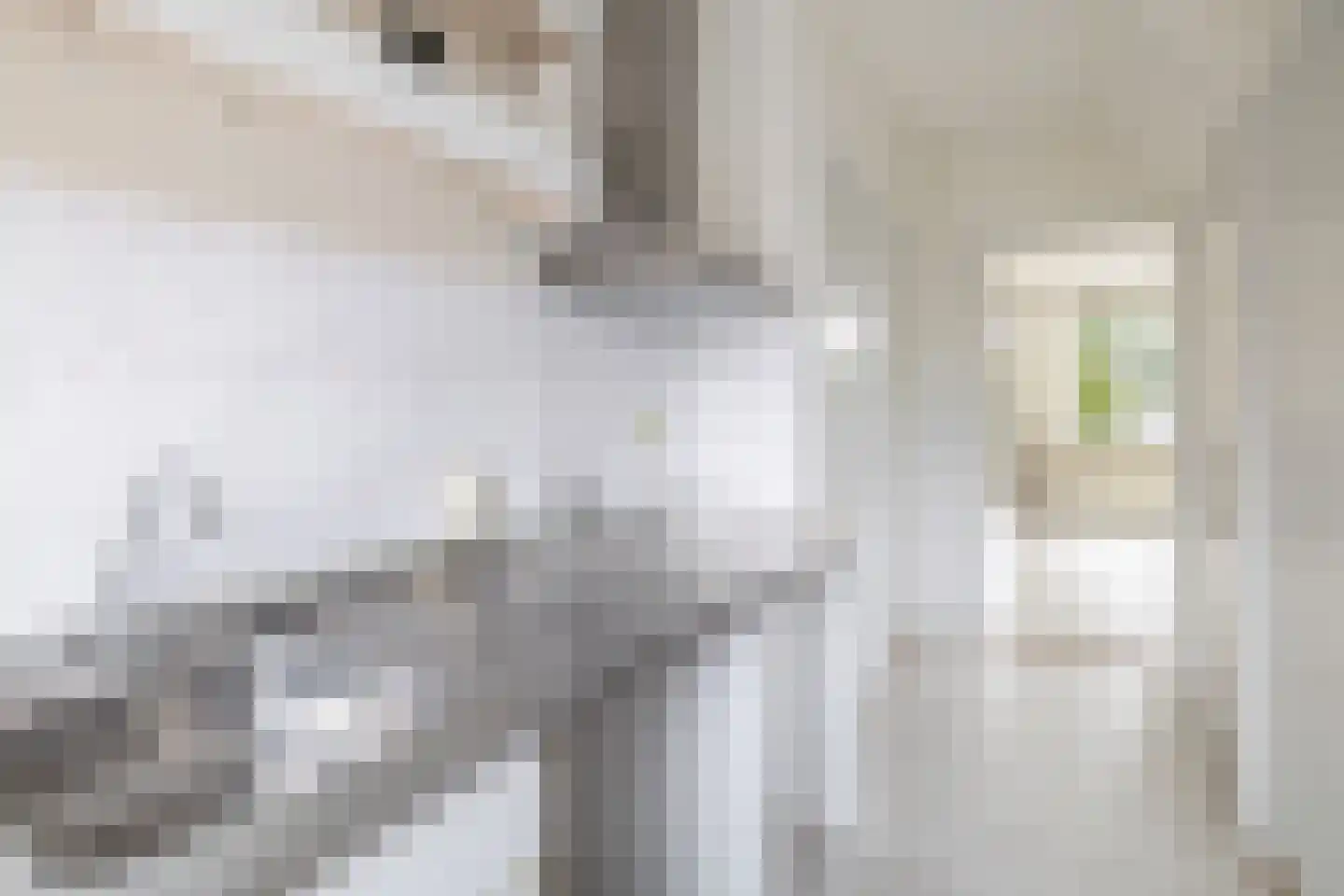 Jan van Goyenstraat 1 Krimpen aan den IJssel thumbnail 22