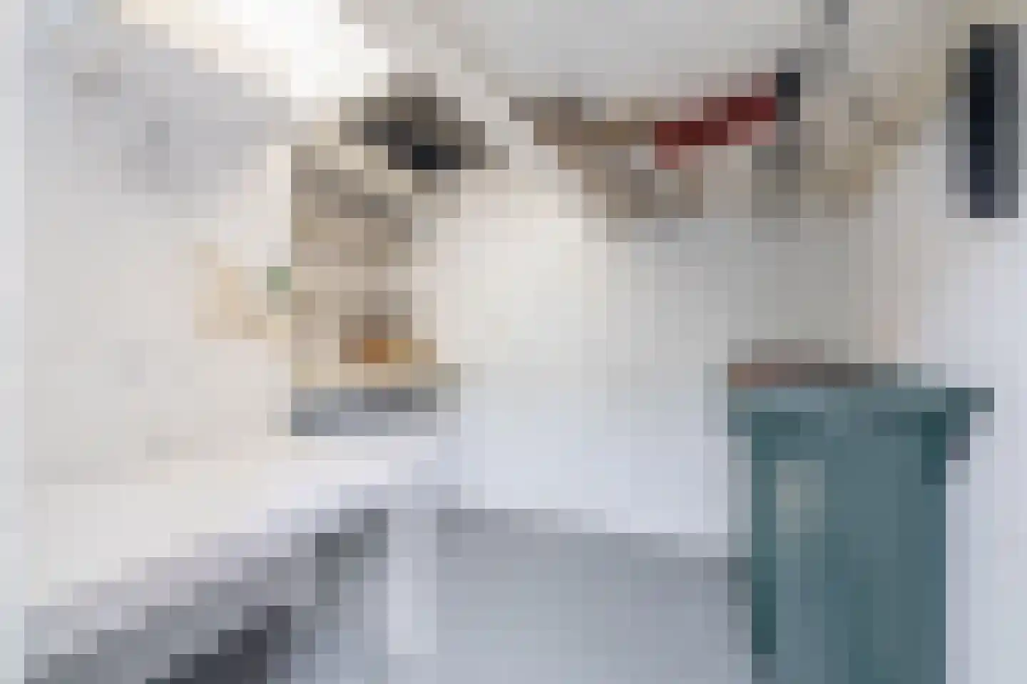 Jan van Goyenstraat 1 Krimpen aan den IJssel thumbnail 41