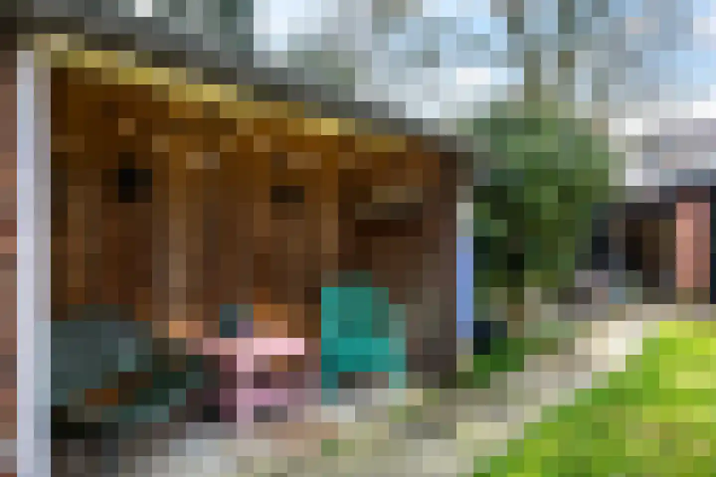 Jan van Goyenstraat 10 Ede thumbnail 61