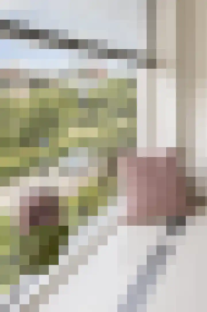 Jan van Goyenstraat 12 a Groningen thumbnail 16