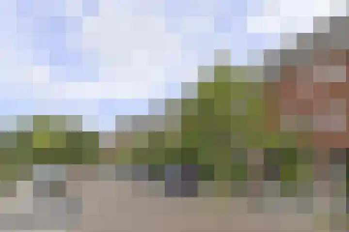 Jan van Goyenstraat 12 a Groningen thumbnail 32
