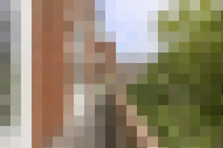 Jan van Goyenstraat 12 a Groningen thumbnail 4