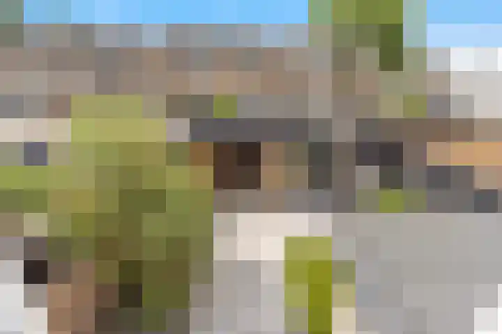 Jan van Goyenstraat 14 Krimpen aan de Lek thumbnail 34
