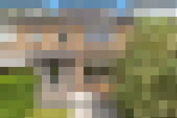 Jan van Goyenstraat 14 Krimpen aan de Lek thumbnail 43