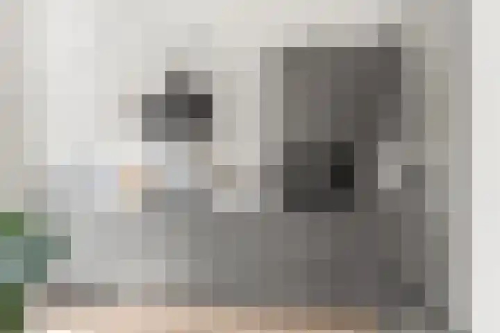Jan van Goyenstraat 14 Krimpen aan de Lek thumbnail 6