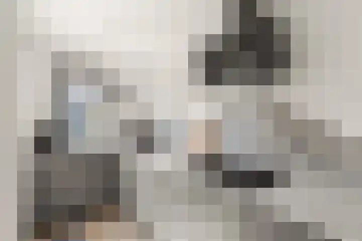 Jan van Goyenstraat 14 Krimpen aan de Lek thumbnail 7