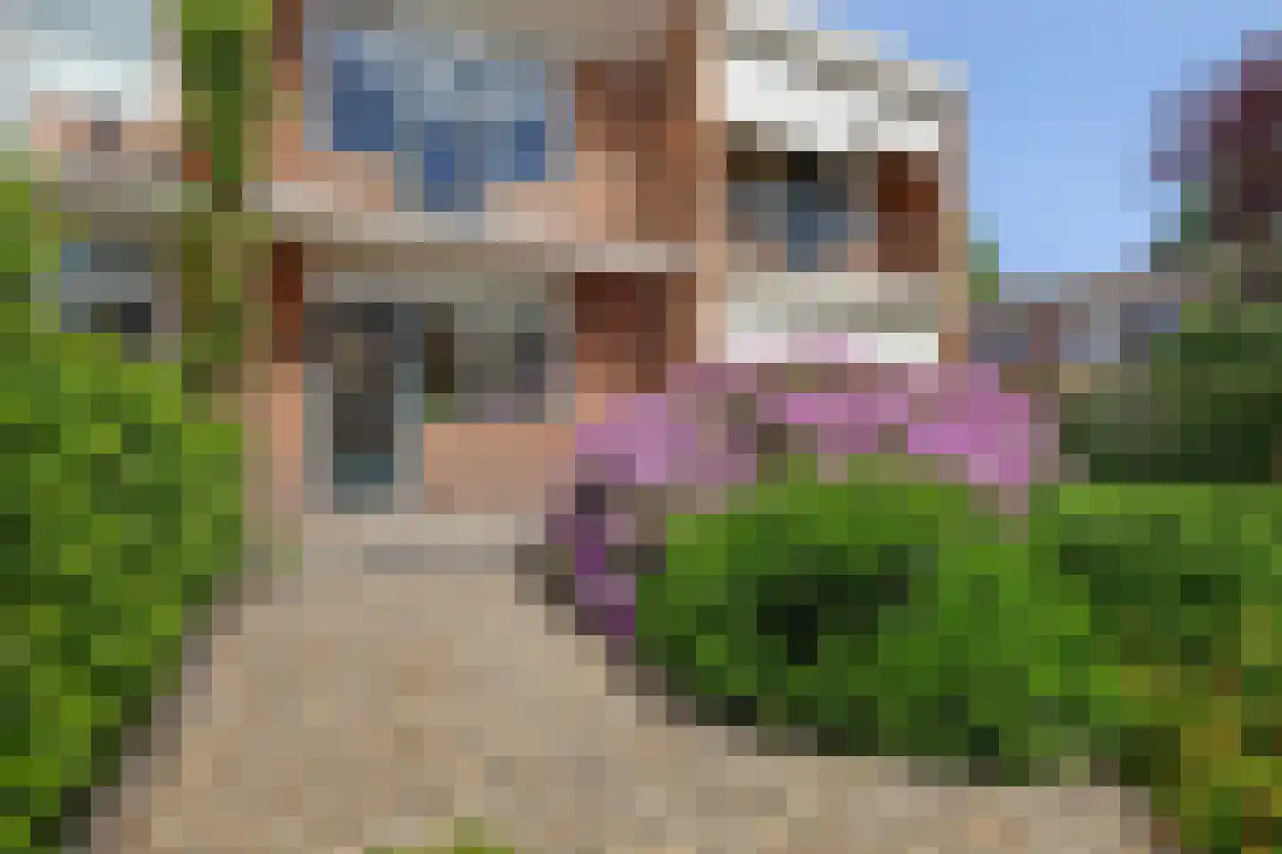 Jan van Goyenstraat 17 Krimpen aan den IJssel thumbnail 5
