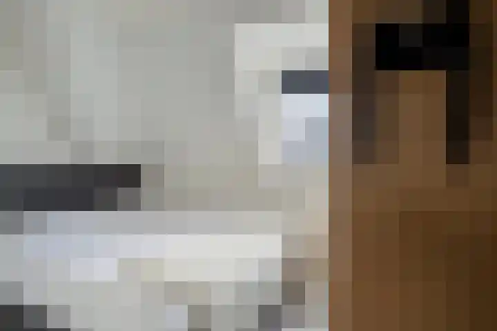 Jan van Goyenstraat 2 a Groningen thumbnail 31