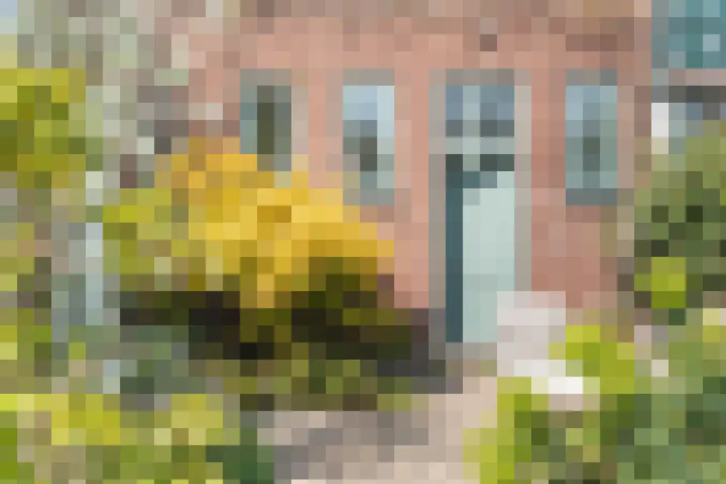 Jan van Goyenstraat 2 Heemstede thumbnail 13