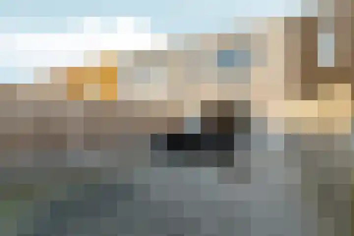 Jan van Goyenstraat 24 Almere thumbnail 31