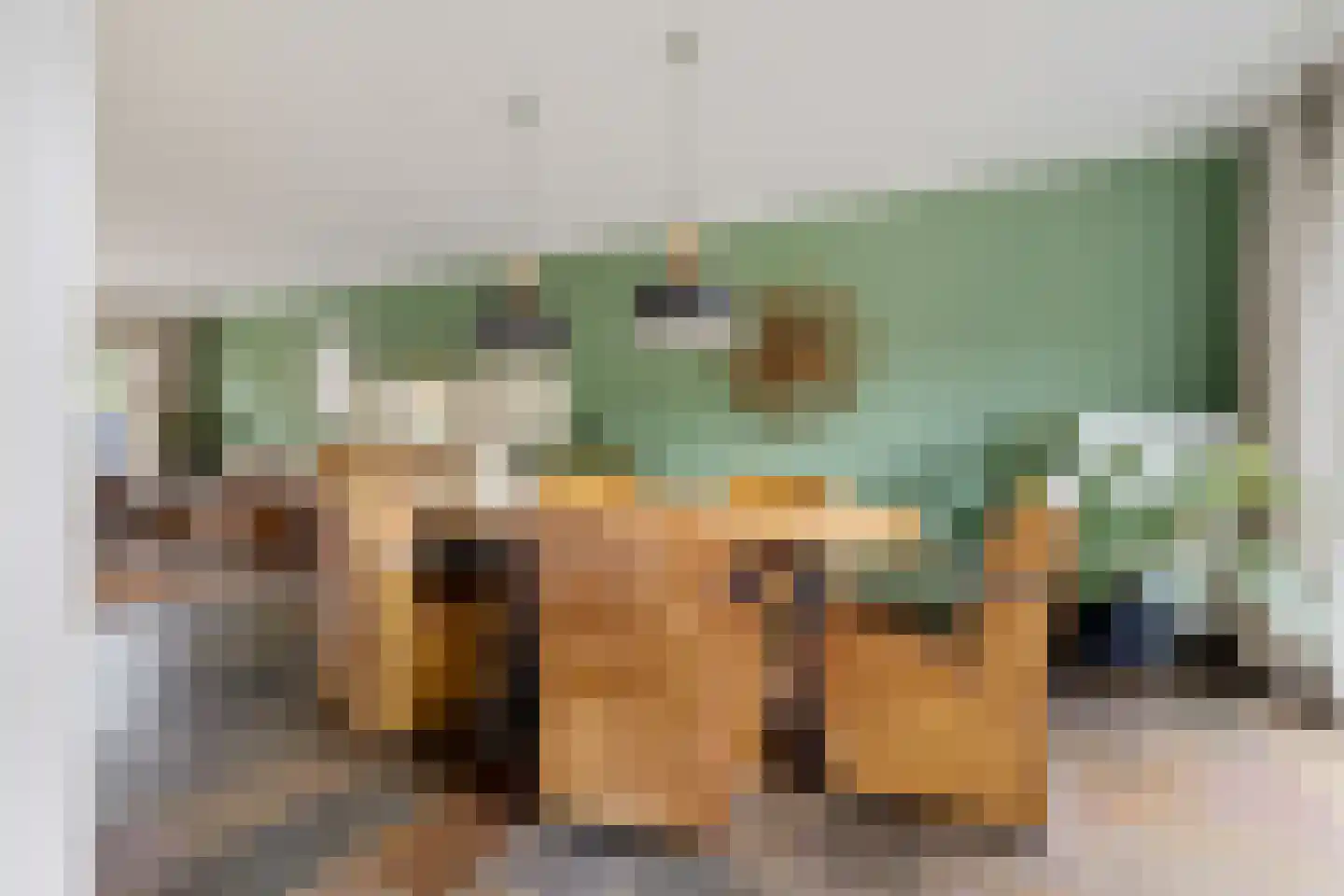 Jan van Goyenstraat 24 Waalwijk thumbnail 13