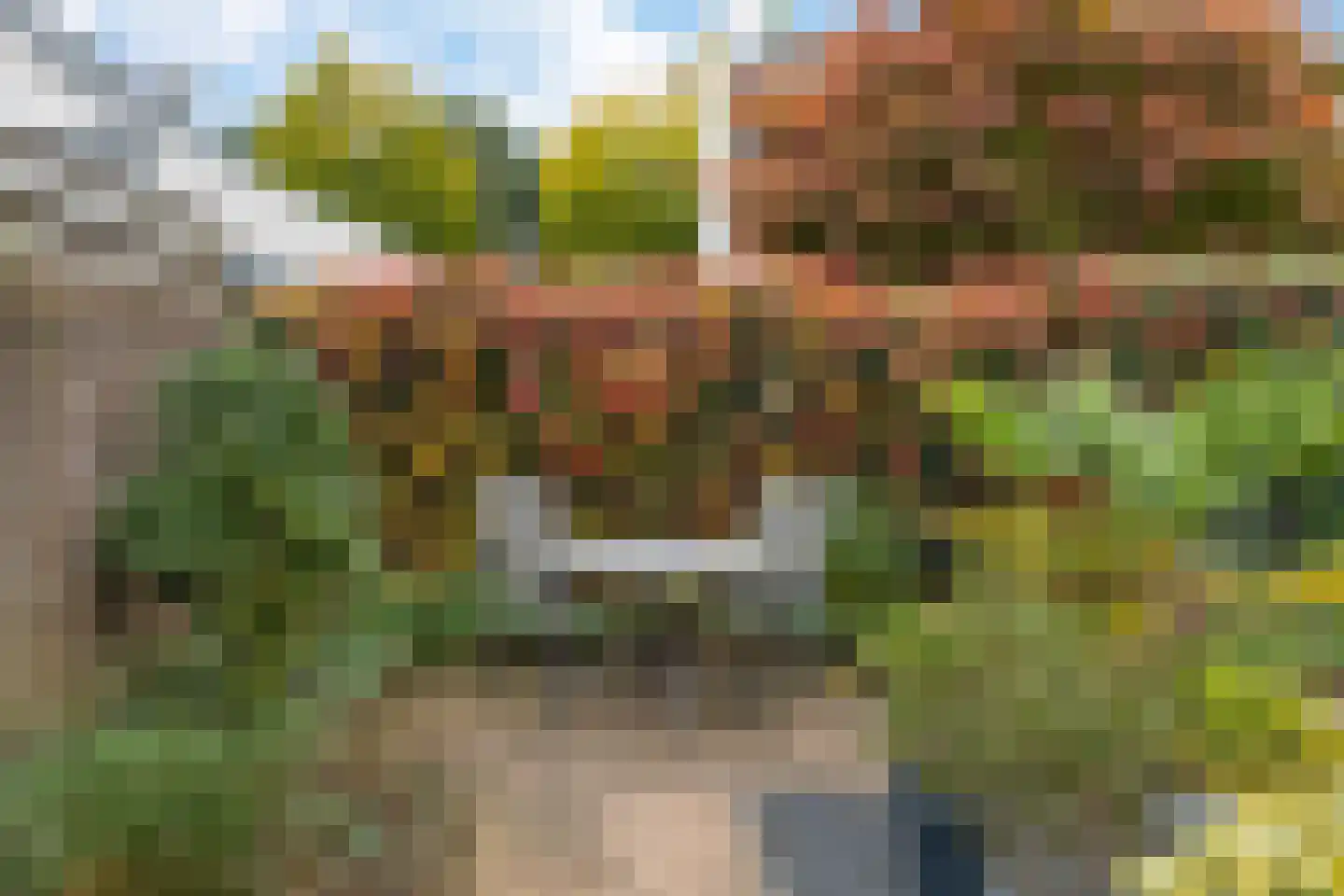 Jan van Goyenstraat 24 Waalwijk thumbnail 38