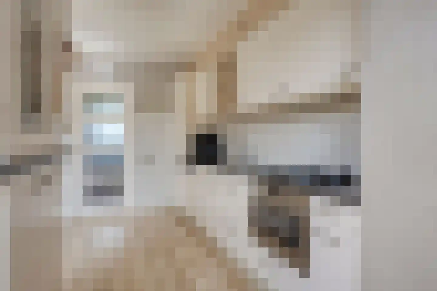 Jan van Goyenstraat 27 Heerhugowaard thumbnail 18