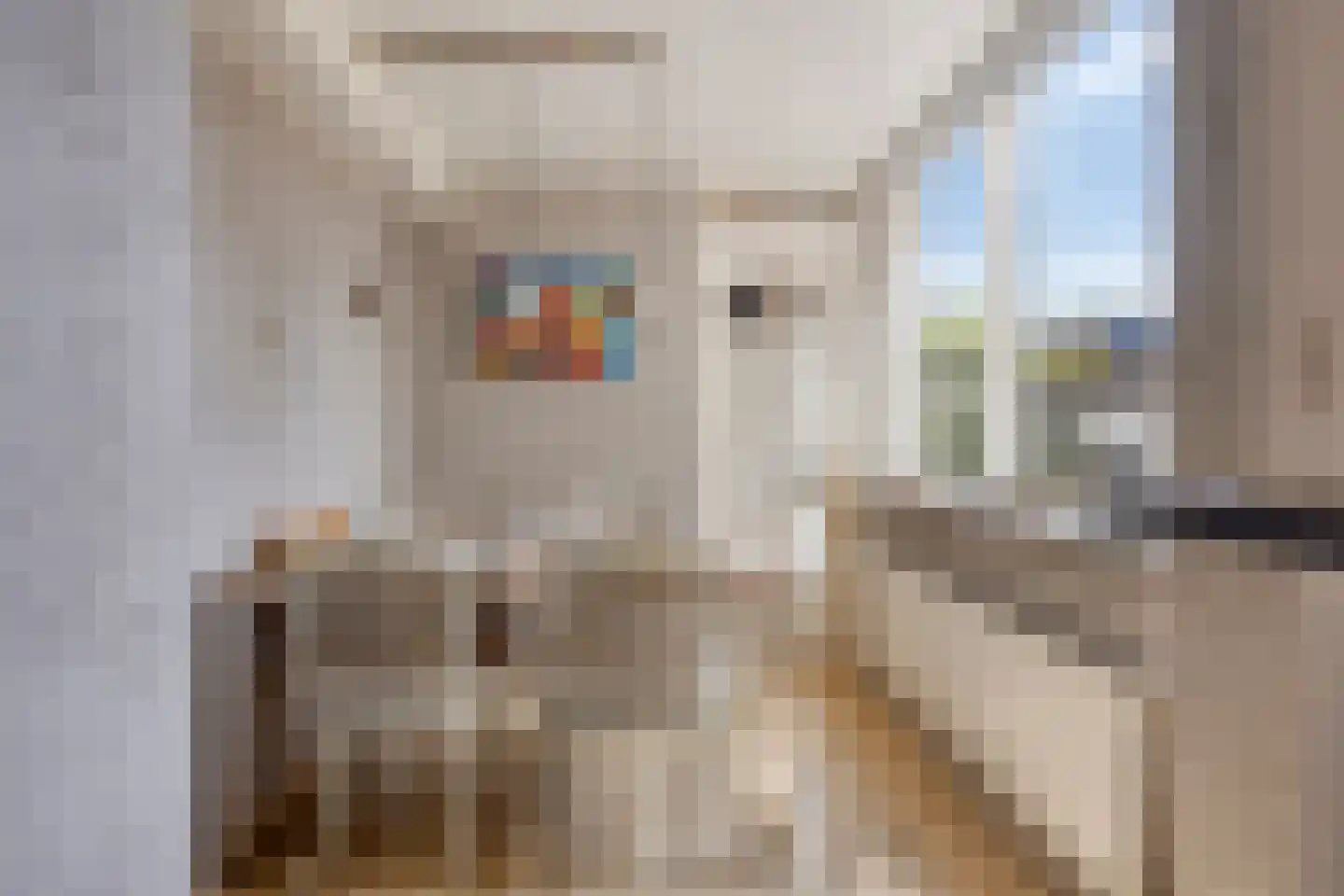 Jan van Goyenstraat 27 Heerhugowaard thumbnail 19